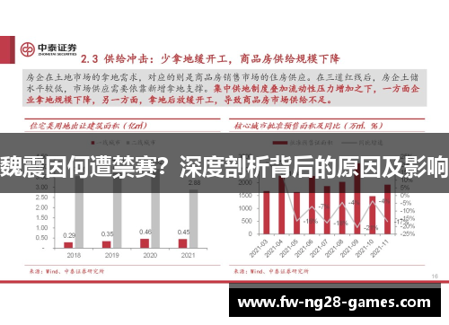 魏震因何遭禁赛？深度剖析背后的原因及影响