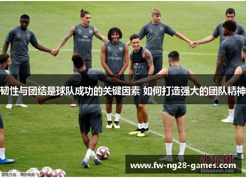 韧性与团结是球队成功的关键因素 如何打造强大的团队精神 韧性与团结是球队成功的关键因素 如何打造强大的团队精神